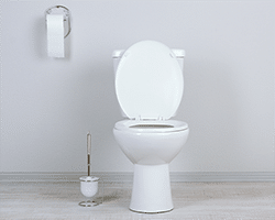 Comfort Height vs. Standard Height Toilet! – Roberts Plumbing, Inc.
